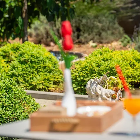 Villa Modern Xxl Makarska