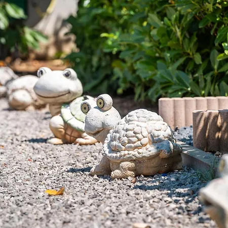 Modern Xxl Вилла