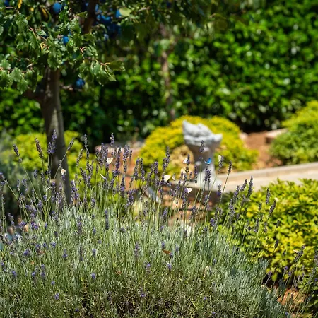 Modern Xxl Макарска